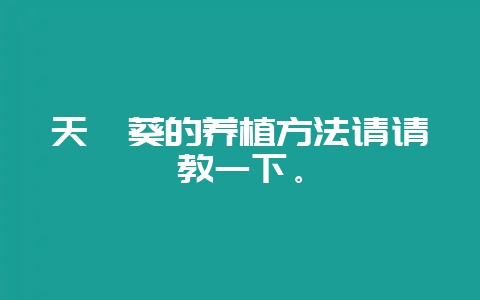 天竺葵的养植方法请请教一下。-会东网