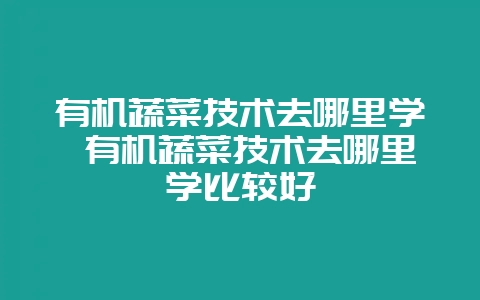 有机蔬菜技术去哪里学 有机蔬菜技术去哪里学比较好插图 有机蔬菜技术去哪里学 有机蔬菜技术去哪里学比较好插图