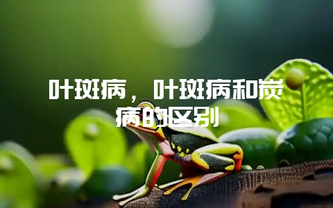 叶斑病，叶斑病和炭疽病的区别-会东网