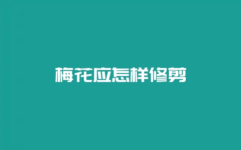 梅花应怎样修剪插图 梅花应怎样修剪插图