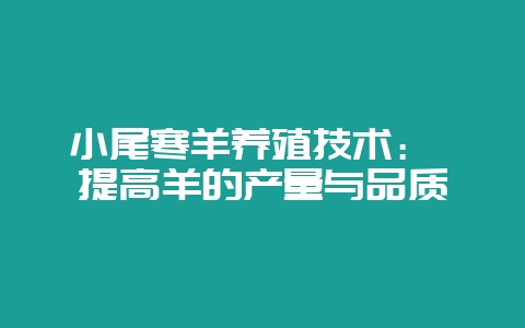 小尾寒羊养殖技术： 提高羊的产量与品质-会东网