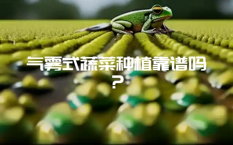 气雾式蔬菜种植靠谱吗？-会东网