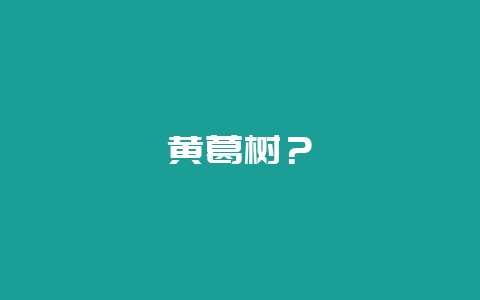 黄葛树?插图 黄葛树?插图