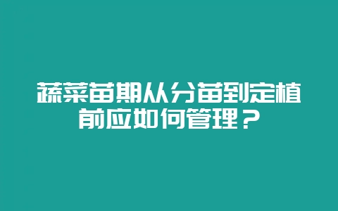 蔬菜苗期从分苗到定植前应如何管理？-会东网