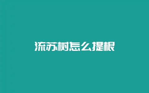 流苏树怎么提根插图 流苏树怎么提根插图