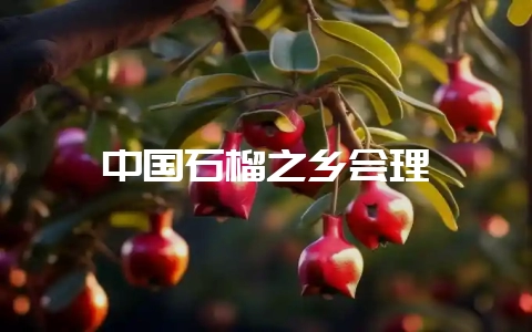 中国石榴之乡会理-会东网