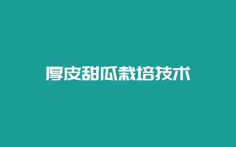厚皮甜瓜栽培技术插图 厚皮甜瓜栽培技术插图