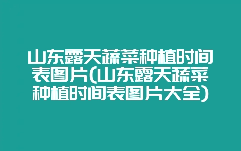 山东露天蔬菜种植时间表图片(山东露天蔬菜种植时间表图片大全)-会东网