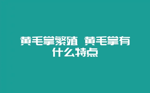 黄毛掌繁殖 黄毛掌有什么特点-会东网