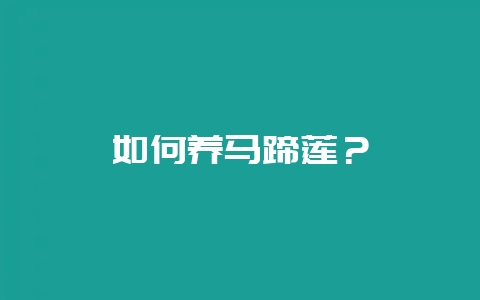 如何养马蹄莲?插图 如何养马蹄莲?插图