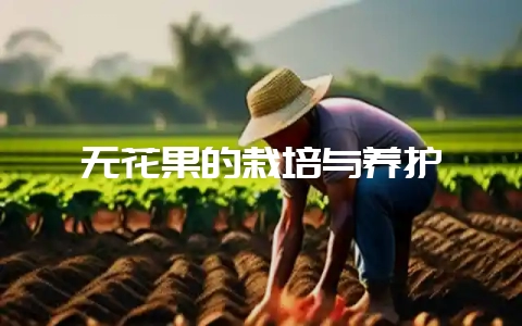 无花果的栽培与养护-会东网