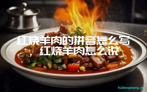 红烧羊肉的拼音怎么写，红烧羊肉怎么说-会东网