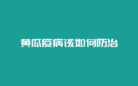 黄瓜疫病该如何防治-会东网