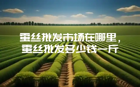蚕丝批发市场在哪里，蚕丝批发多少钱一斤-会东网