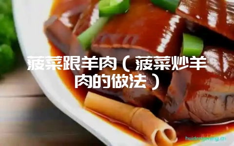 菠菜跟羊肉（菠菜炒羊肉的做法）-会东网