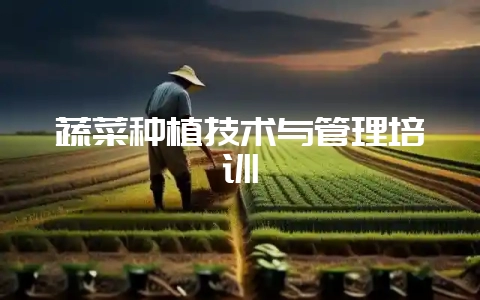 蔬菜种植技术与管理培训-会东网