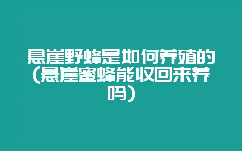 悬崖野蜂是如何养殖的(悬崖蜜蜂能收回来养吗)-会东网