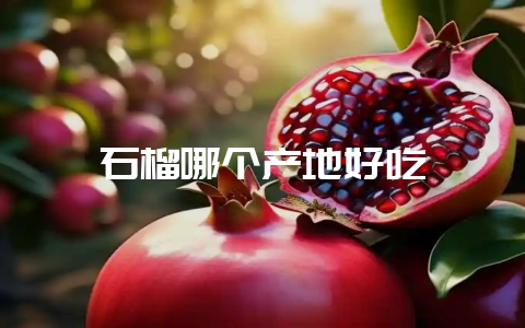 石榴哪个产地好吃-会东网