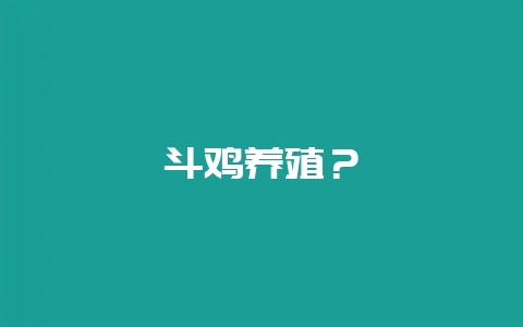斗鸡养殖？-会东网