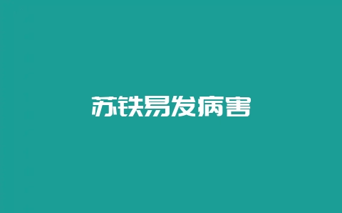 苏铁易发病害插图 苏铁易发病害插图