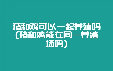 猪和鸡可以一起养殖吗(猪和鸡能在同一养殖场吗)-会东网