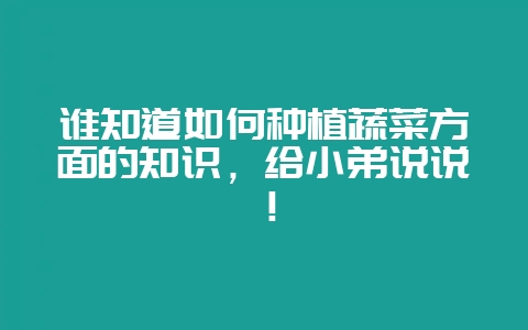 谁知道如何种植蔬菜方面的知识，给小弟说说！-会东网