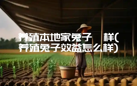 养殖本地家兔子咋样(养殖兔子效益怎么样)-会东网