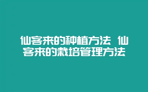 仙客来的种植方法 仙客来的栽培管理方法-会东网