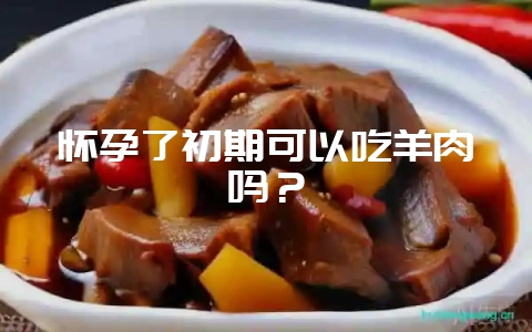 怀孕了初期可以吃羊肉吗？-会东网