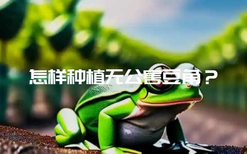怎样种植无公害豆角？-会东网