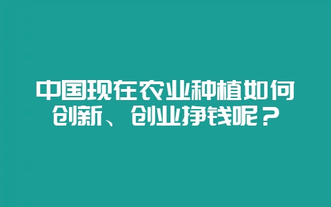中国现在农业种植如何创新、创业挣钱呢?插图 中国现在农业种植如何创新、创业挣钱呢?插图