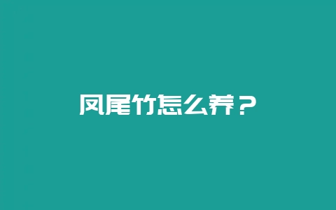 凤尾竹怎么养？-会东网