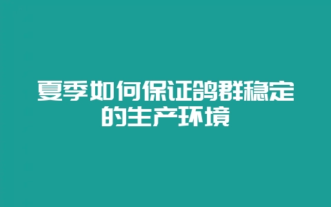 夏季如何保证鸽群稳定的生产环境-会东网