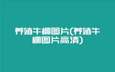 养殖牛棚图片(养殖牛棚图片高清)插图 养殖牛棚图片(养殖牛棚图片高清)插图
