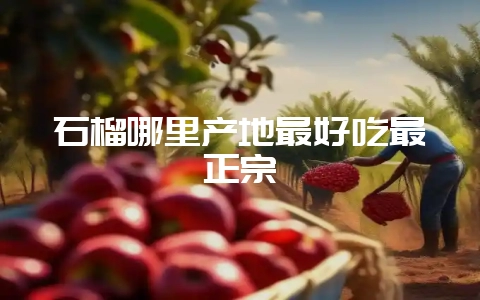 石榴哪里产地最好吃最正宗-会东网