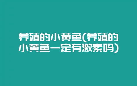 养殖的小黄鱼(养殖的小黄鱼一定有激素吗)-会东网