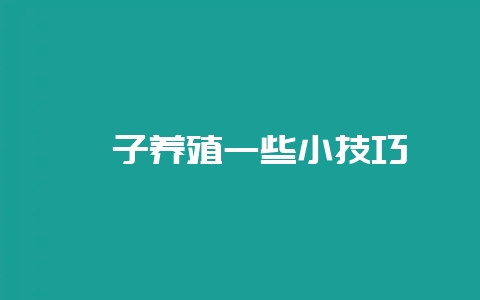 貉子养殖一些小技巧-会东网