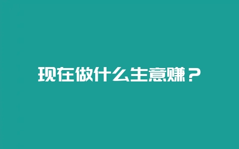 现在做什么生意赚？-会东网