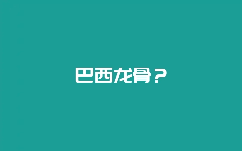 巴西龙骨?插图 巴西龙骨?插图