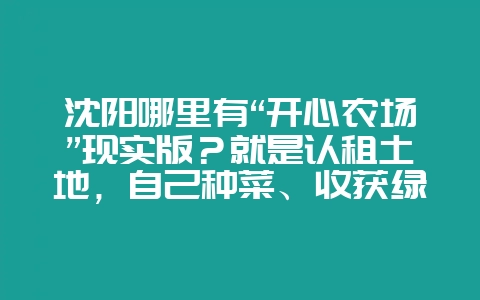 沈阳哪里有“开心农场”现实版?就是认租土地,自己种菜、收获绿色无污染蔬菜的?插图 沈阳哪里有“开心农场”现实版?就是认租土地,自己种菜、收获绿色无污染蔬菜的?插图
