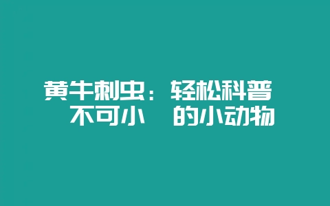 黄牛刺虫:轻松科普 不可小觑的小动物插图 黄牛刺虫:轻松科普 不可小觑的小动物插图