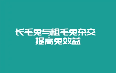 长毛兔与粗毛兔杂交 提高兔效益-会东网
