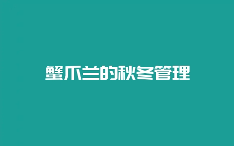 蟹爪兰的秋冬管理-会东网