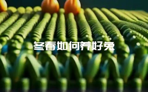冬春如何养好兔-会东网