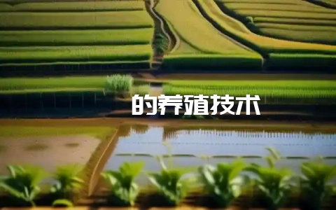 鹧鸪的养殖技术-会东网