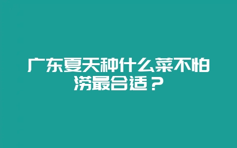 广东夏天种什么菜不怕涝最合适？-会东网