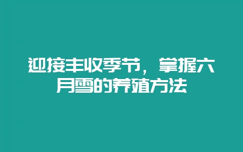 迎接丰收季节，掌握六月雪的养殖方法-会东网