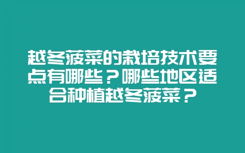 越冬菠菜的栽培技术要点有哪些?哪些地区适合种植越冬菠菜?-会东网