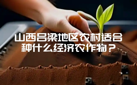 山西吕梁地区农村适合种什么经济农作物？-会东网