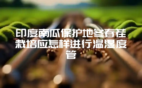 印度南瓜保护地冬春茬栽培应怎样进行温湿度管-会东网